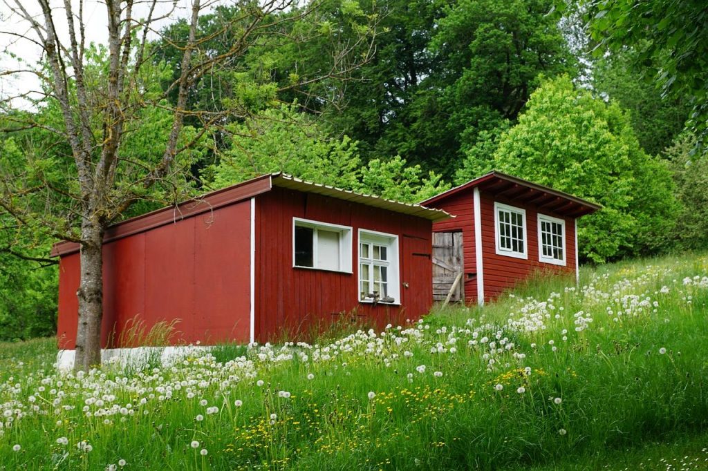 Tiny house in Nederland omgeven door groene weide, perfect voor een duurzame en minimale vakantie ervaring
