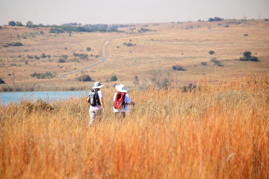 Groep wandelaars verkent de prachtige wandelroutes van Breda met bomen en natuurpad