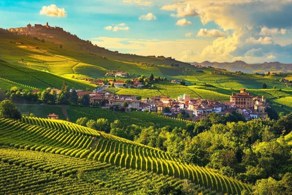 Wijngaarden in de Piemonte wijnregio met Italiaanse wijnsoorten